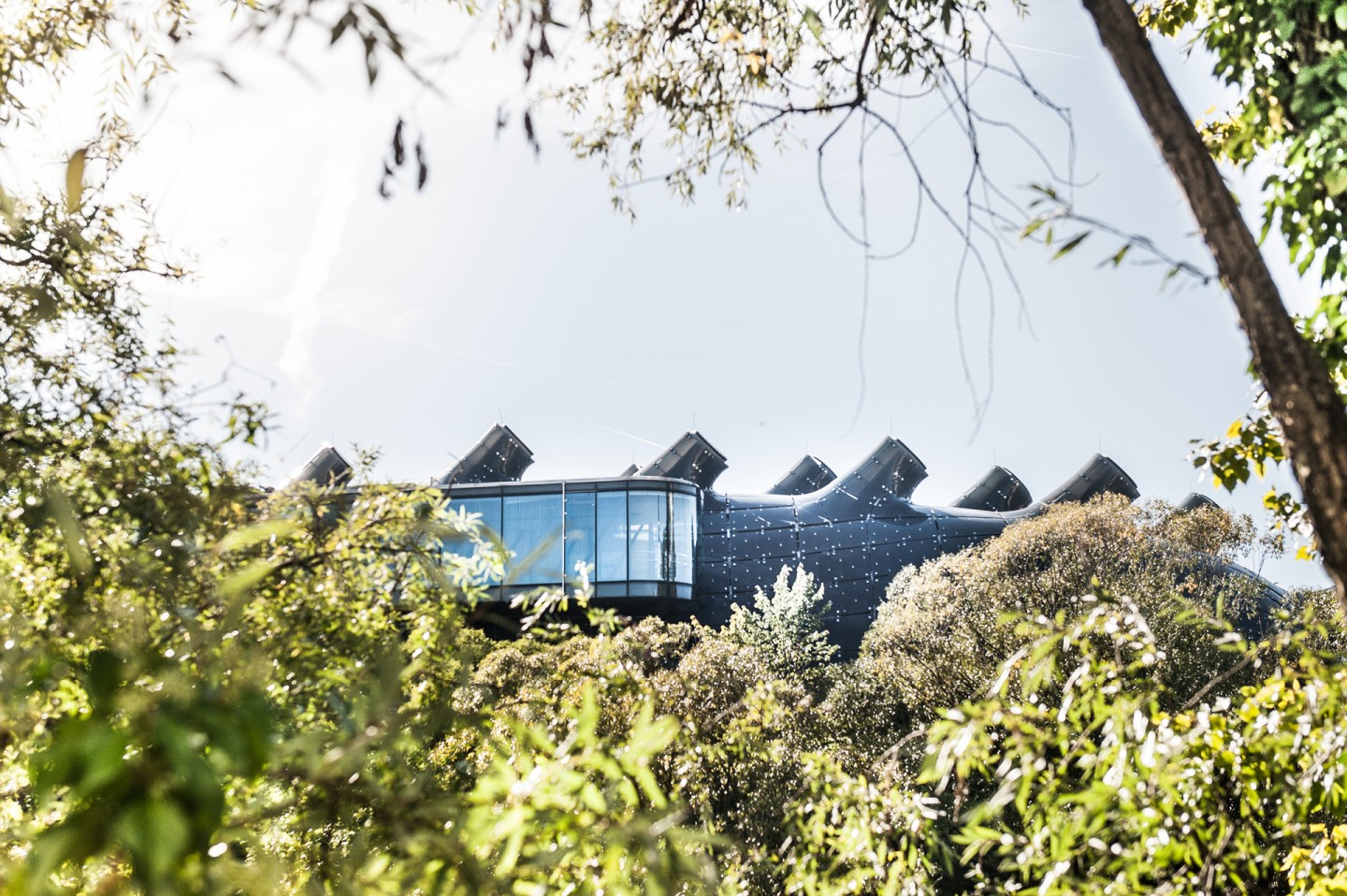 Exterior shot of Kunsthaus Graz, partially obscured by trees and branches.