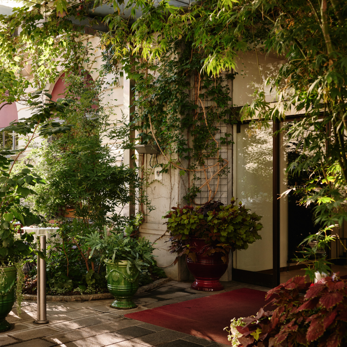 Eingang eines Restaurants, umgeben von üppigem Grün und Pflanzgefäßen. Ein roter Teppich führt zur Tür.