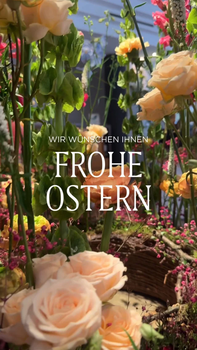 Der Osterhase hat bei uns eingecheckt 🐰✨

Zumindest haben wir ihn dabei erwischt, wie er auf dem Kofferwagen vorgerollt kam und sich natürlich direkt zu unserem wunderschönen Oster-Blumenschmuck gesellt hat. 🌸✨

Zwischen zarten Frühlingsblumen, leuchtender Deko und einem Hauch Osterzauber zeigt sich das Weitzer gerade von seiner besonders frühlingshaften Seite. 🌼💛
Frohe Ostern aus dem Haus der Stadt