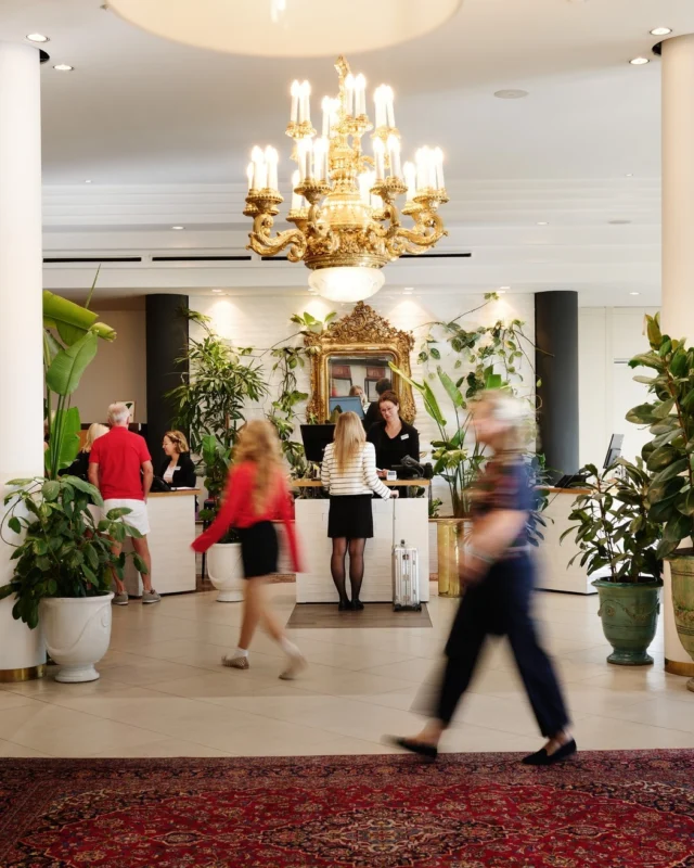 Unsere Lobby steht niemals still (und ist doch wunderbar gemütlich).
Hier kreuzen sich Wege, treffen Geschichten aufeinander, und das leise Murmeln der City mischt sich unter Schritte, Gespräche und Begegnungen. 🚶‍♀️🗨️🚶‍♂️
Genau so lebt das Haus der Stadt. 🏨💛

#hotelweitzer #graz